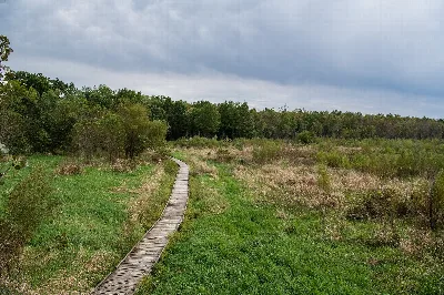 Pershing State Park
