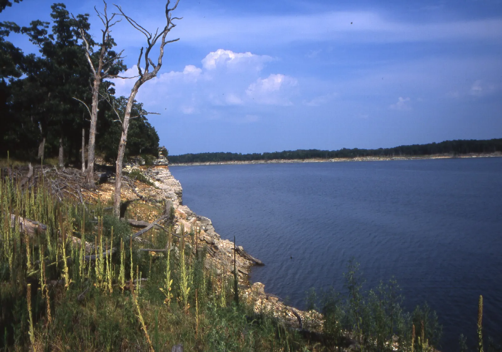 Rocky bluff with tall grass above a wide dark blue lake