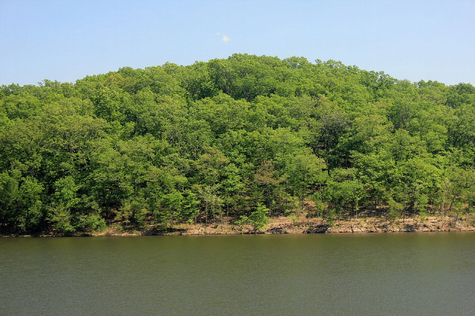 Tree-covered hillside across a calm lake