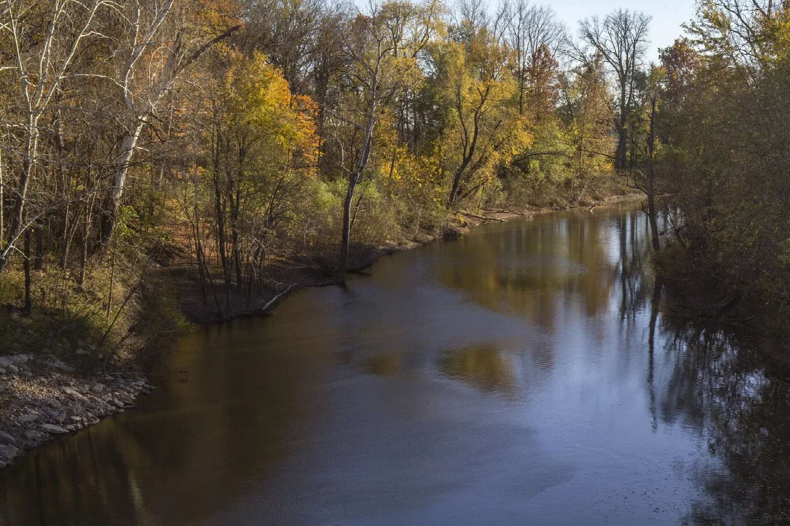River flowing between autumn trees under a pale sky