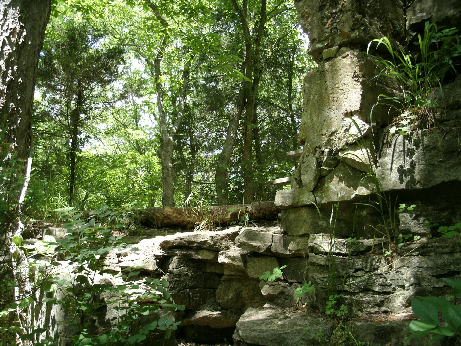 Mossy stone ledge and ruins in green woods
