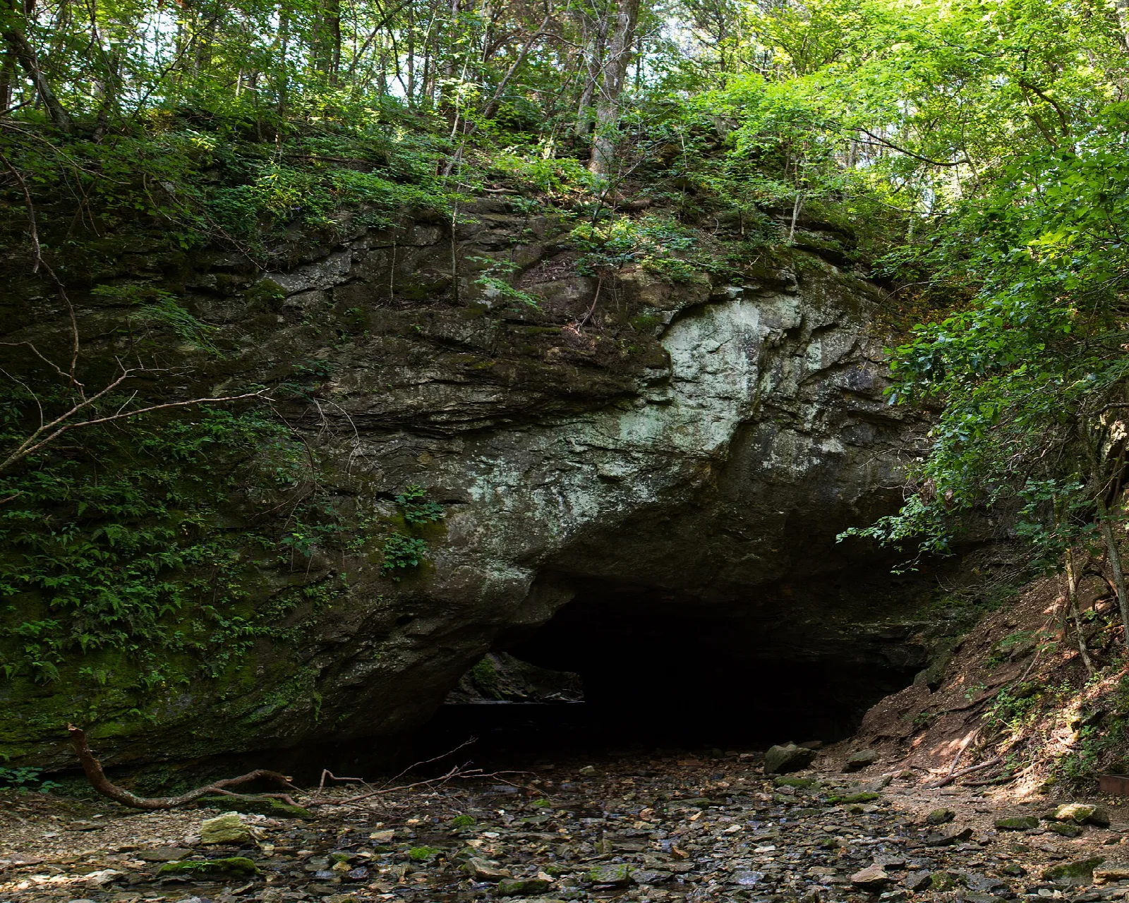 Large rock arch with a dark opening under a wooded hillside