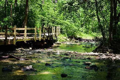 Rock Bridge Memorial State Park