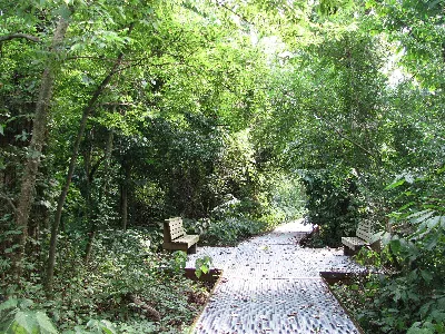 Big Oak Tree State Park