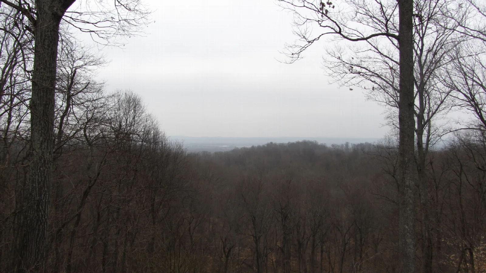 Bare trees framing a hazy view of the river valley