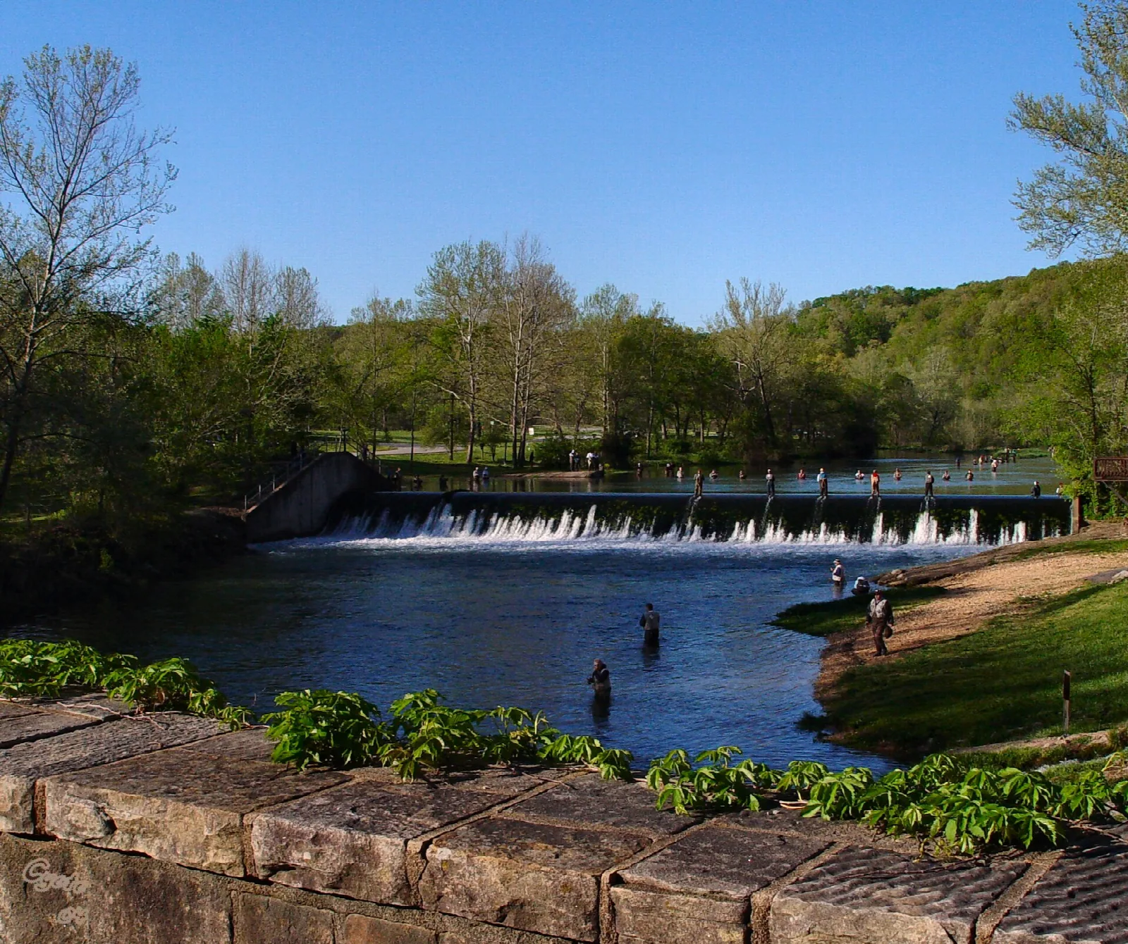 Anglers standing in a stream below a dam, framed by a stone wall and trees