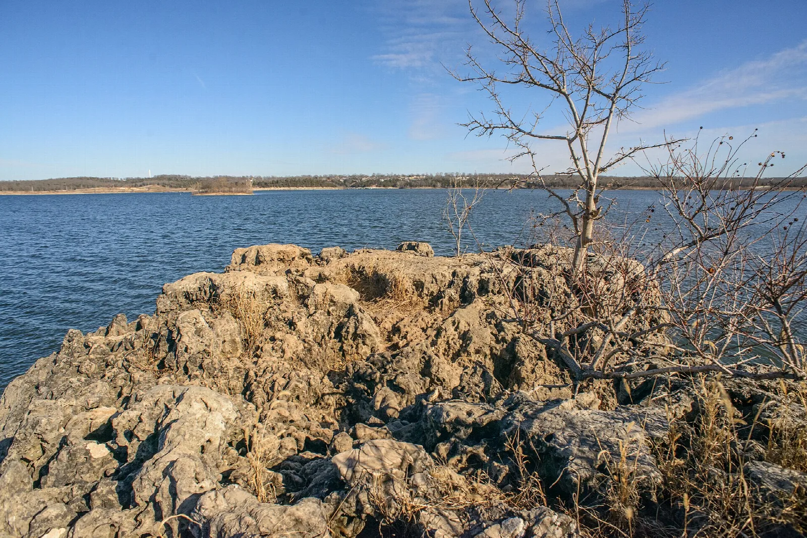 Rocky lake shore with bare brush under a blue sky