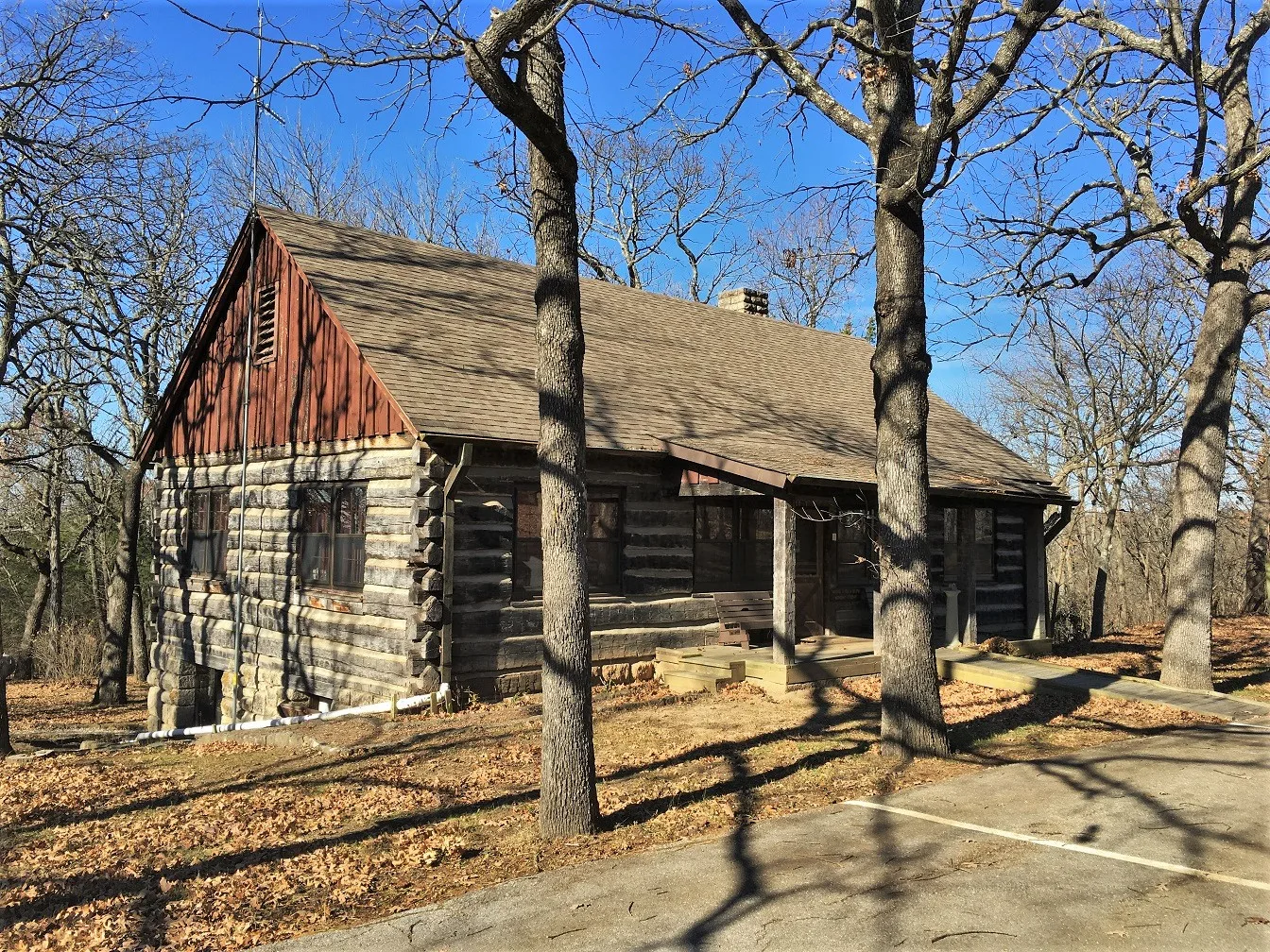 Log building with a shingled roof among bare trees on a sunny day