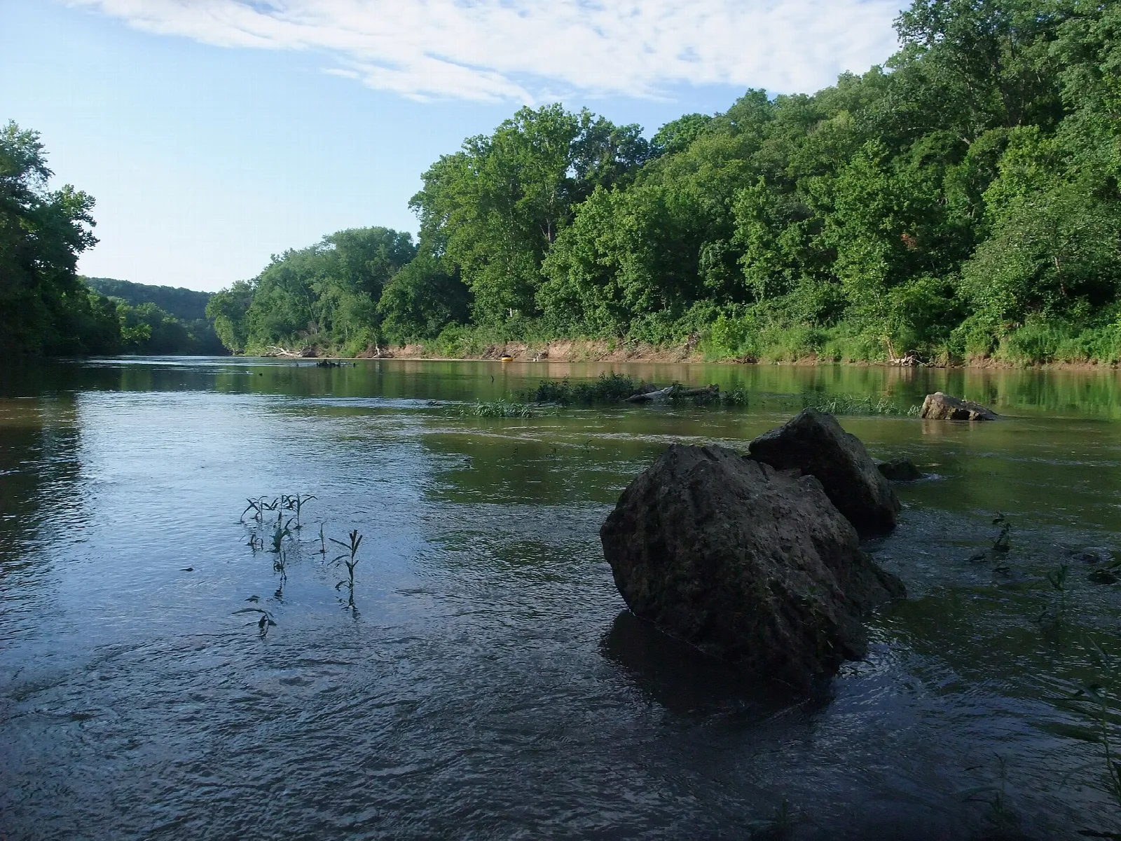 Wide river with a large rock in the shallows and a tree-lined bank