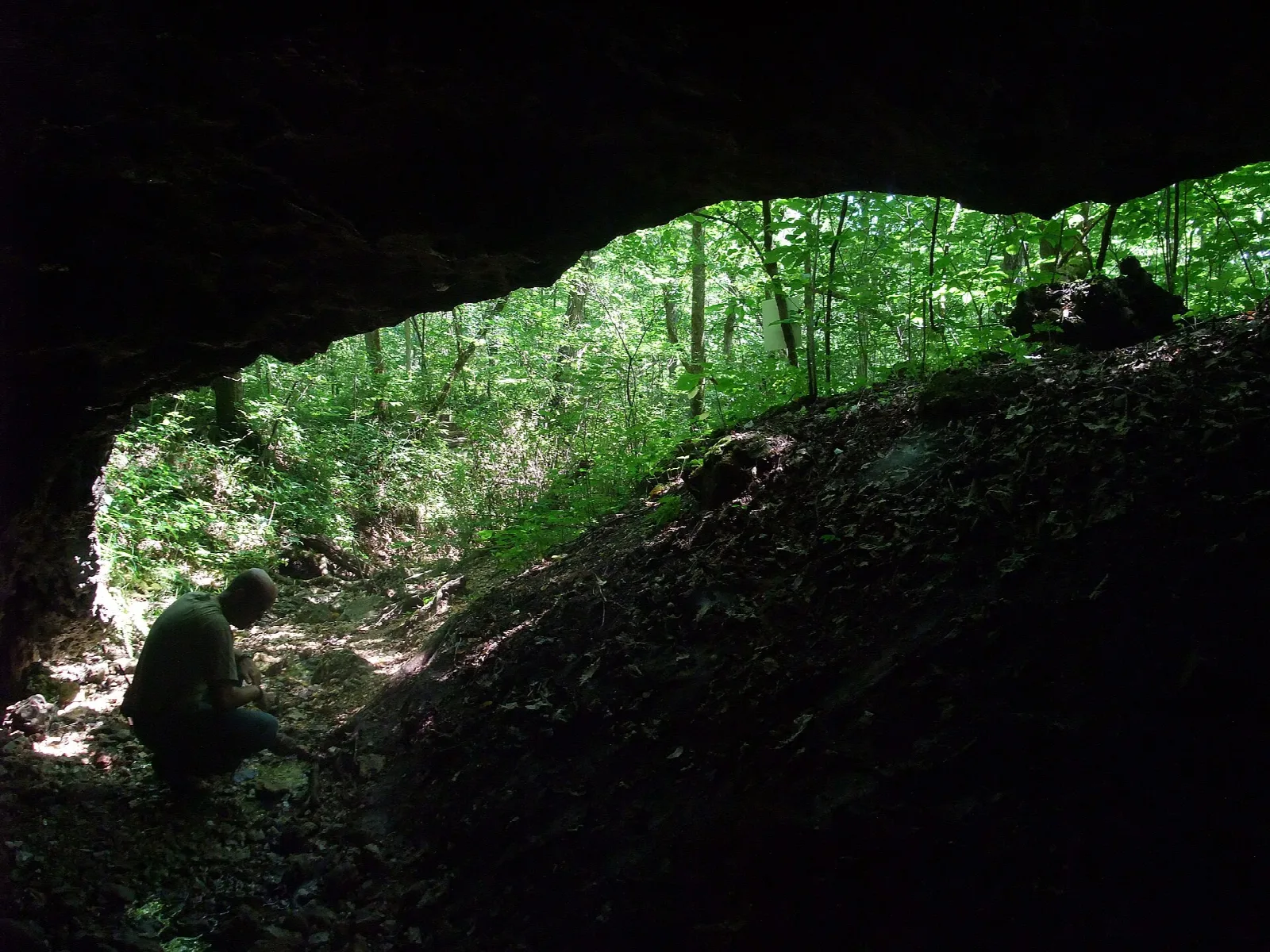 Dark cave mouth opening onto green woods