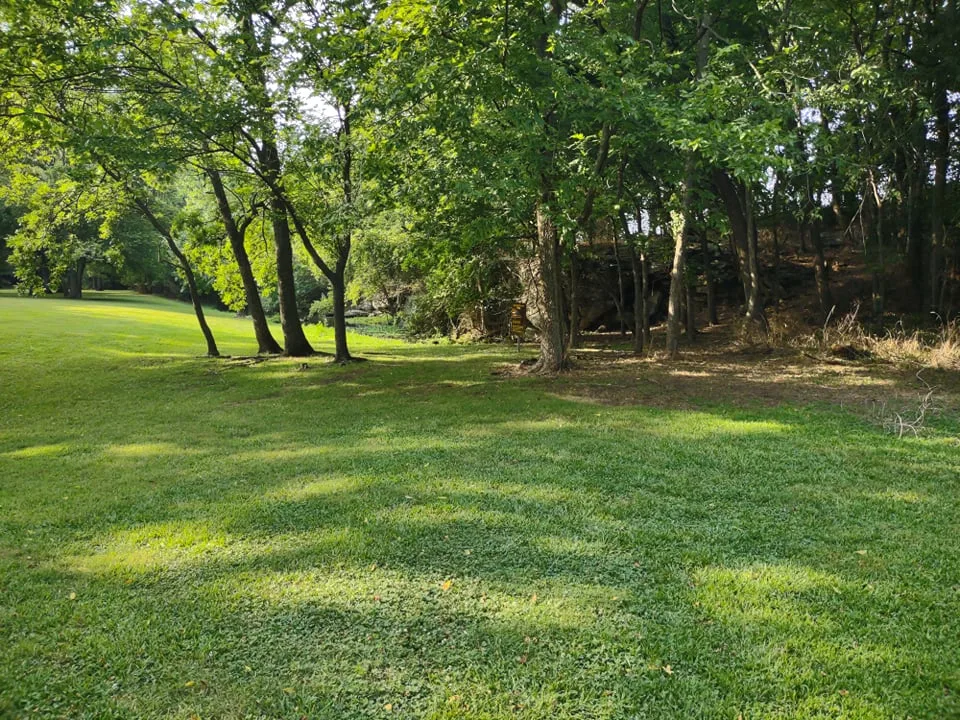 Mowed lawn with shade trees at the edge of a wooded bank
