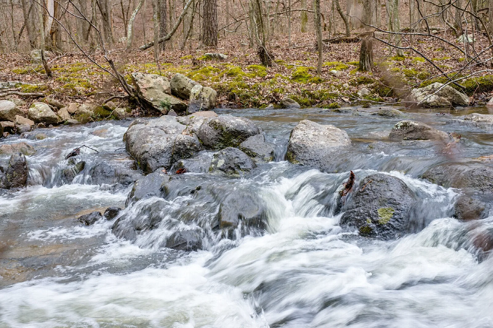 Clear creek tumbling over rocks in a leafless forest