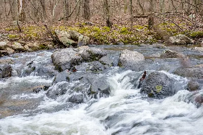 Hawn State Park