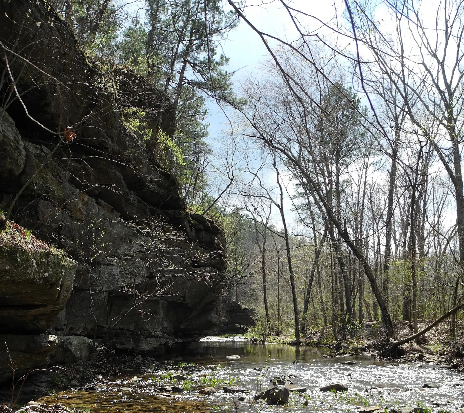 Sandstone cliff beside a shallow creek in bare woods
