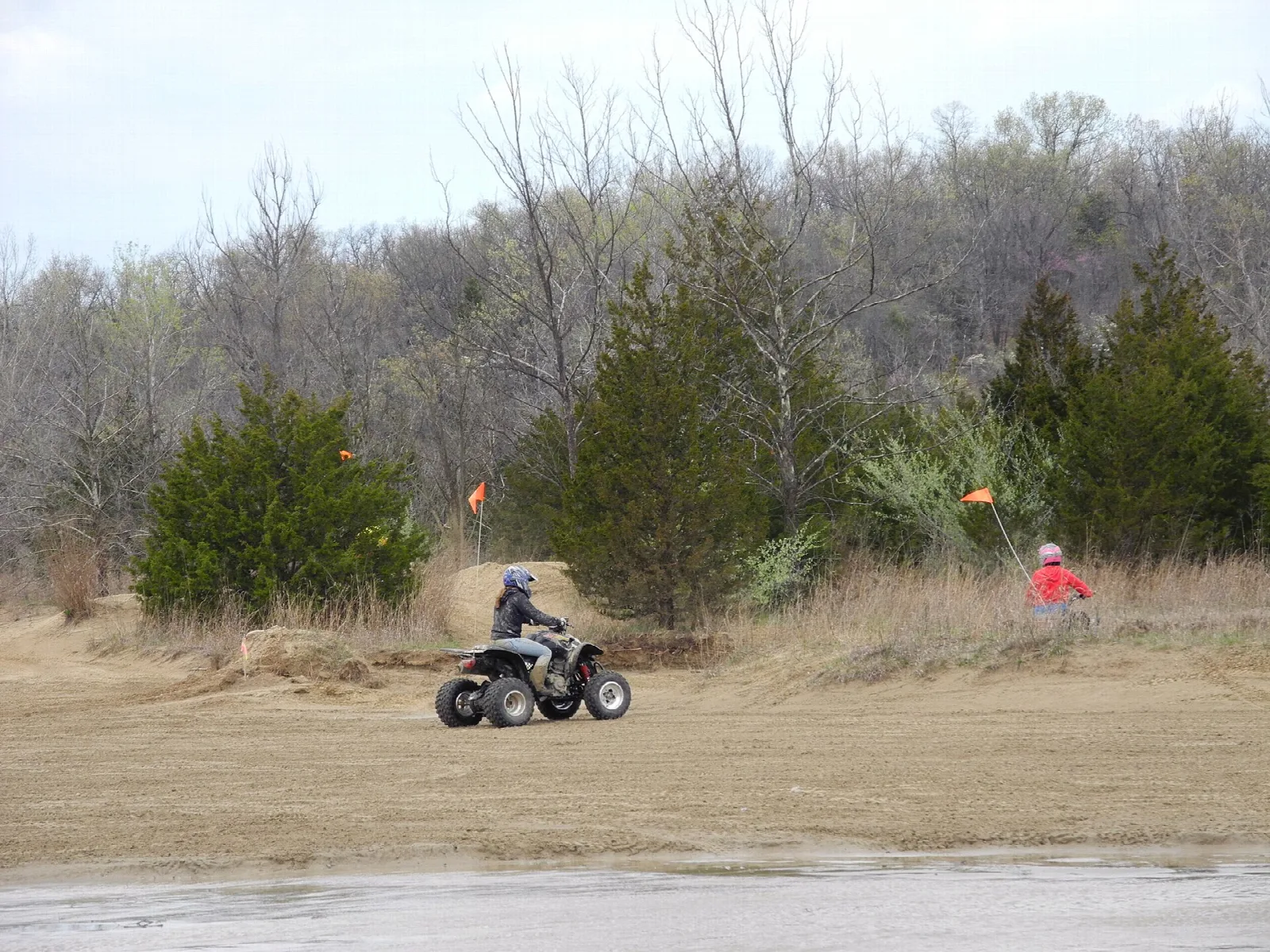 ATV rider on a sandy trail beside brush and trees
