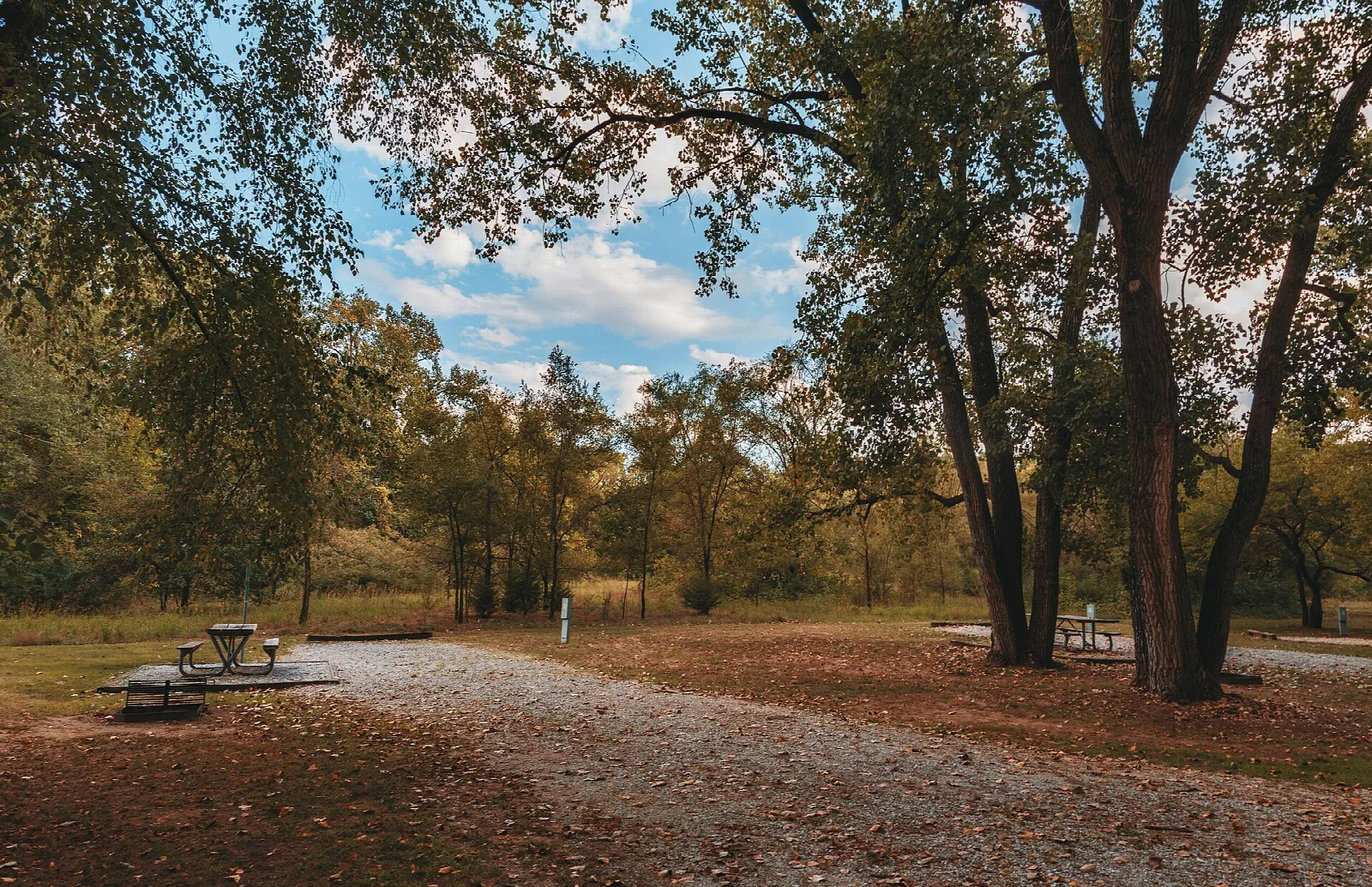 Gravel campsite loop with a picnic table under trees