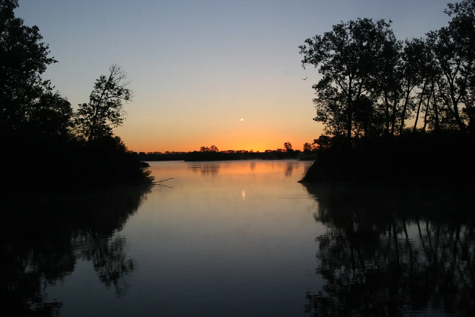 Calm lake at dusk framed by dark trees