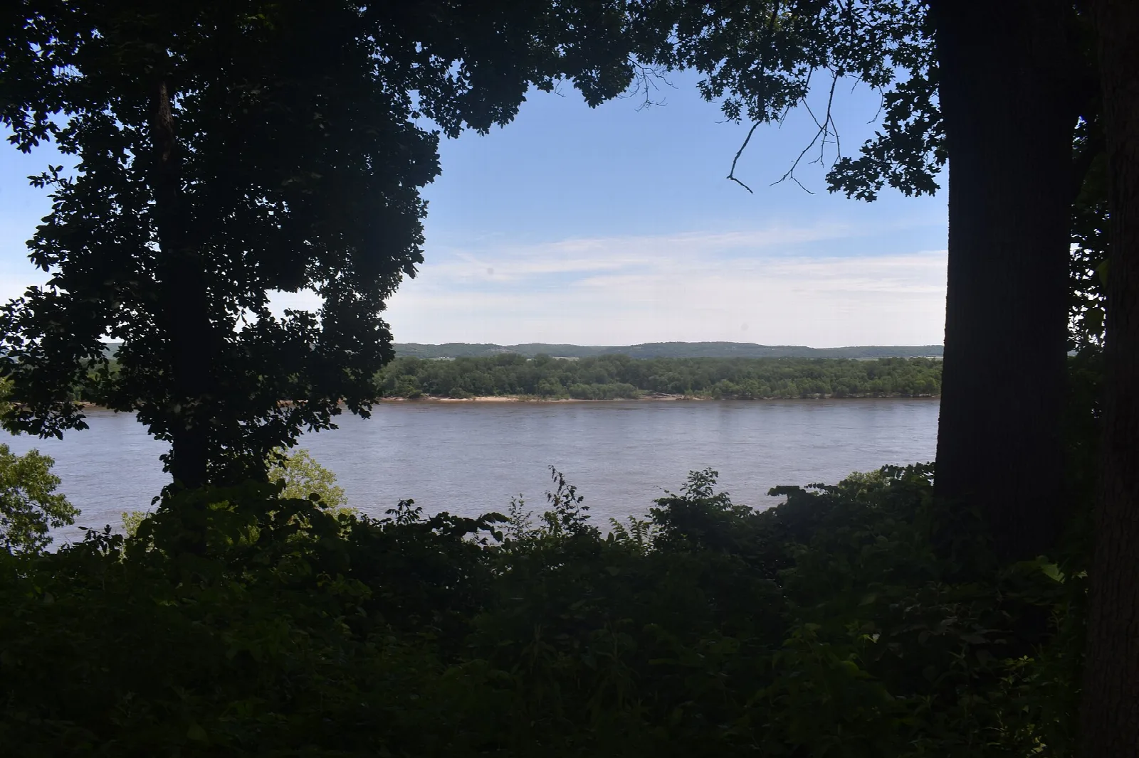 Wide river seen through dark trees under a pale sky