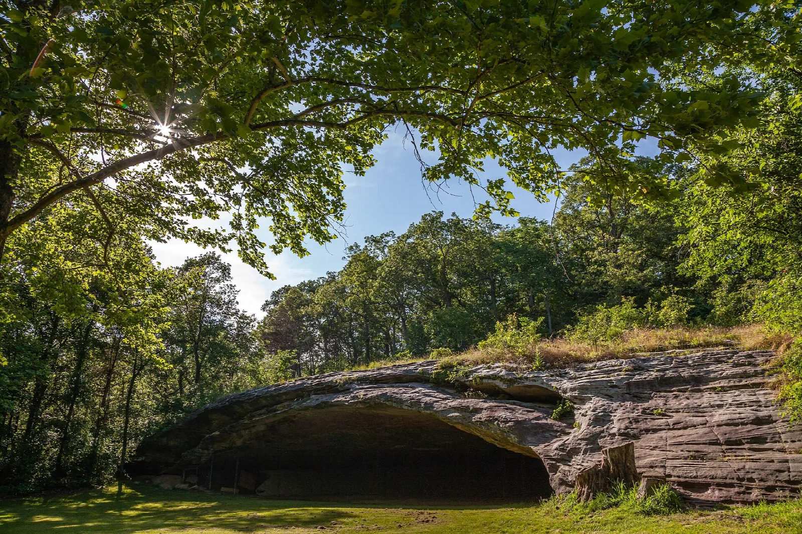 Sandstone overhang and cave mouth seen through leafy trees