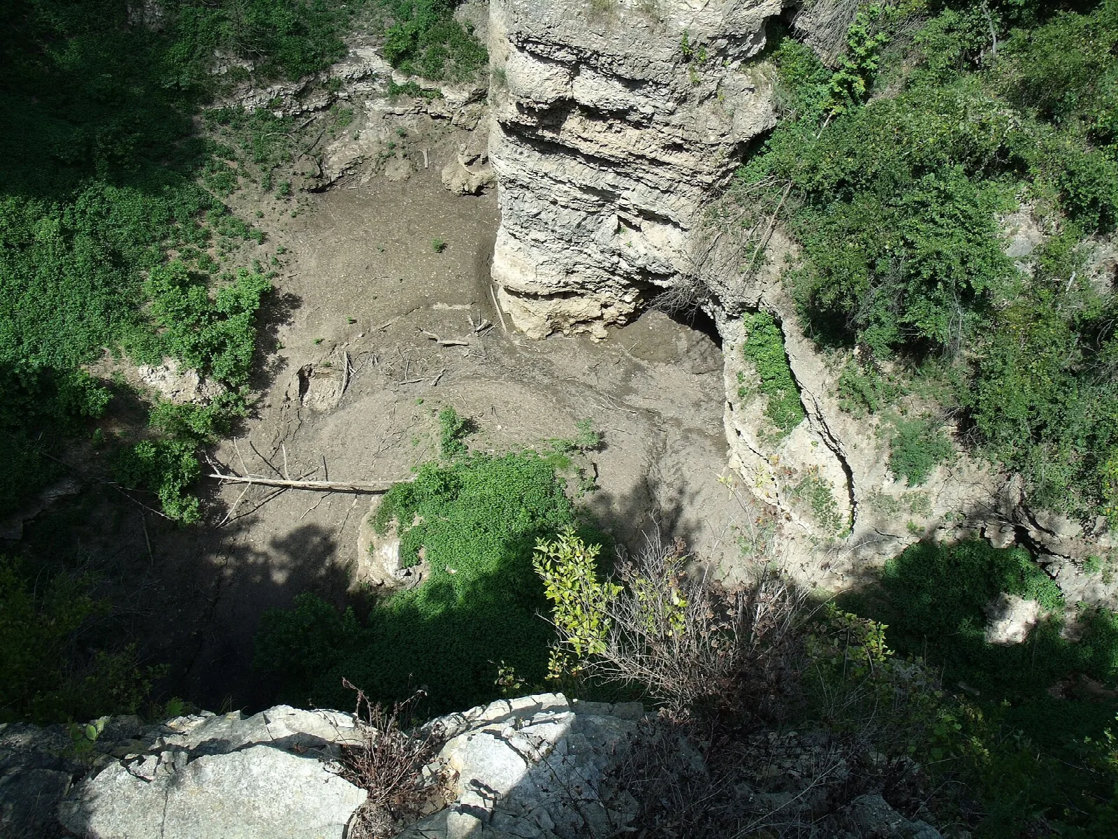 Looking down into a canyon with a pale rock wall, muddy floor and green plants