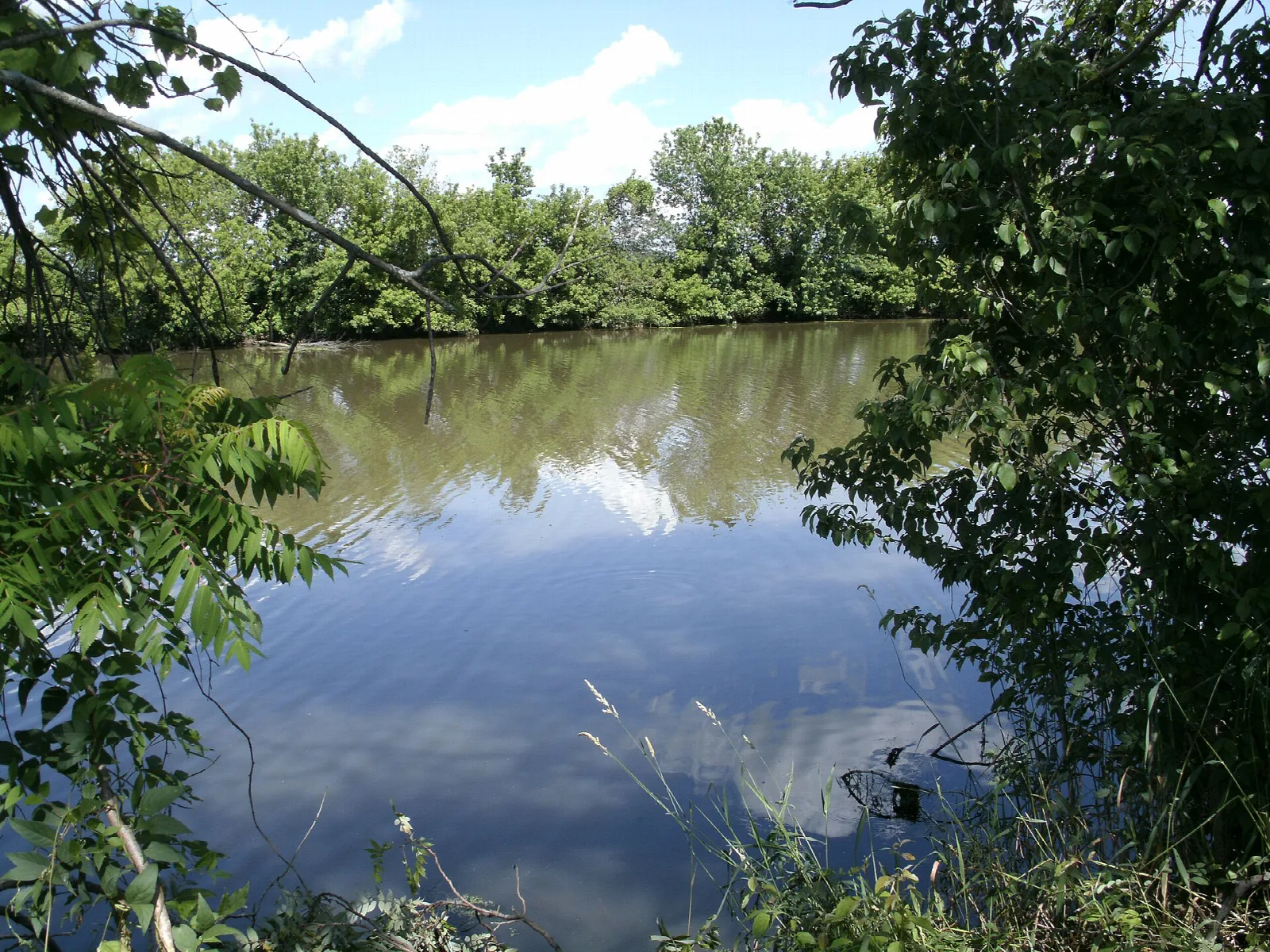 Calm river or pond reflecting sky, framed by green leaves