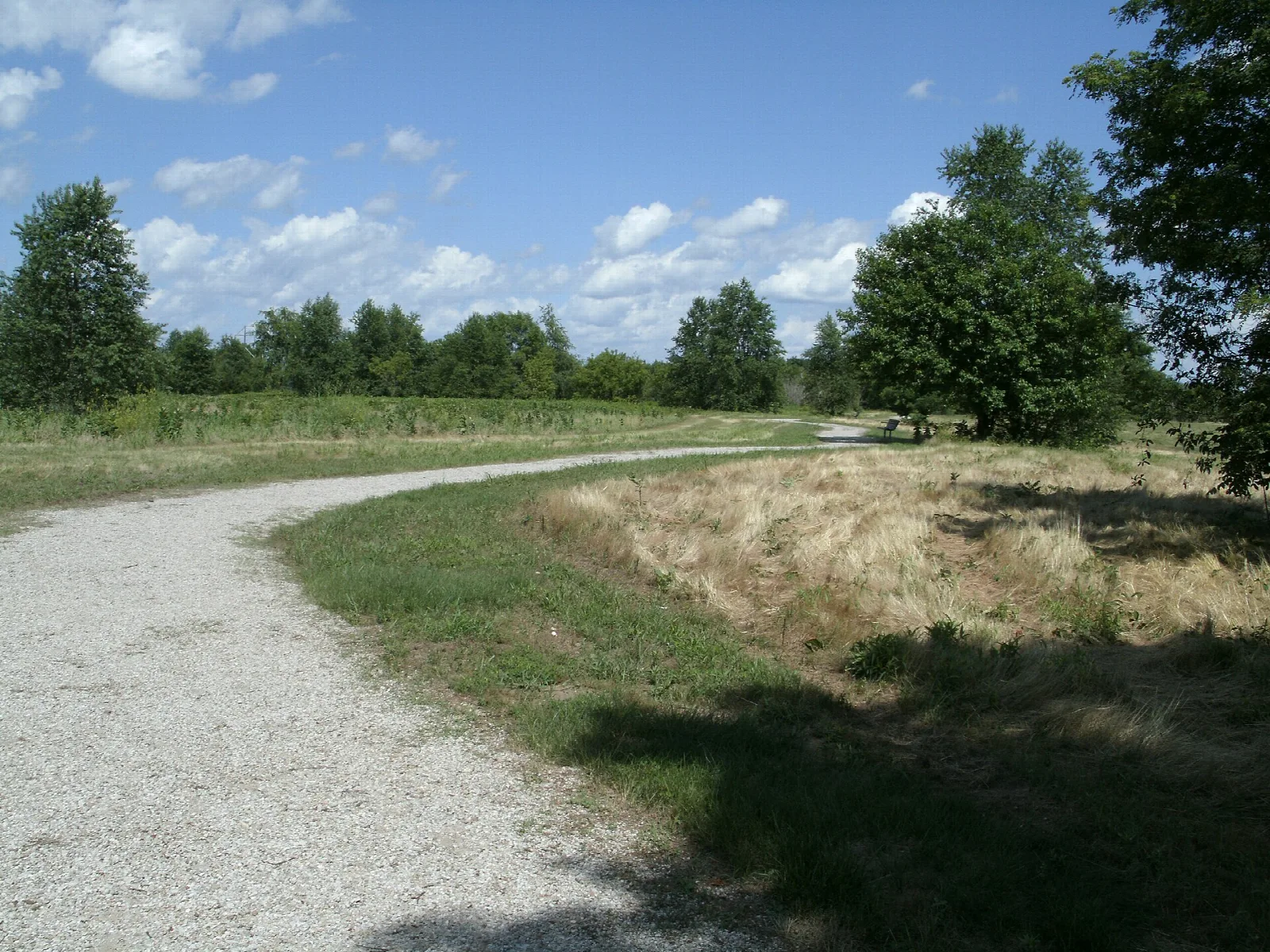 Gravel path curving through grass toward a line of trees