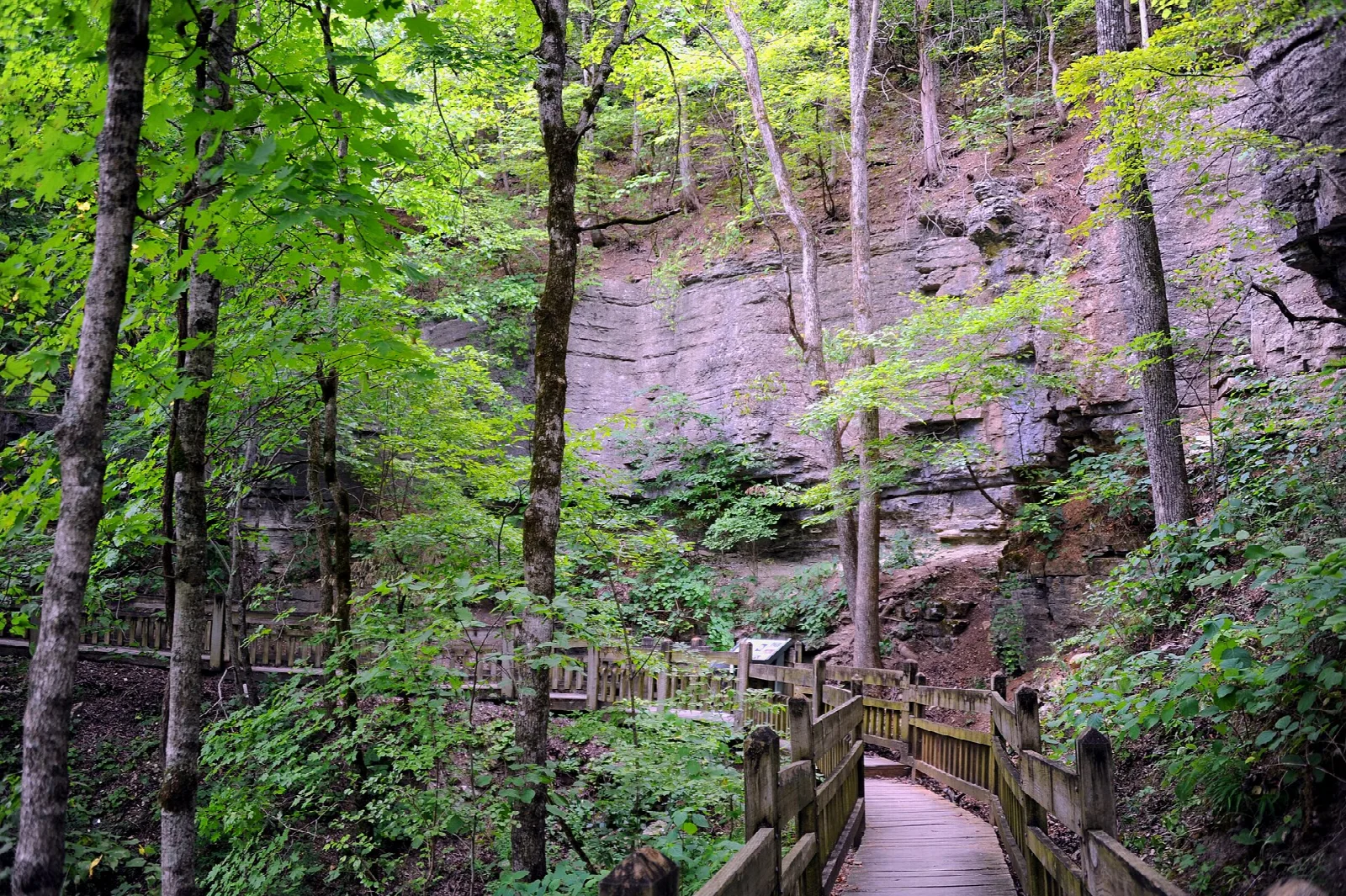 Wooden boardwalk along a mossy rock bluff in green woods