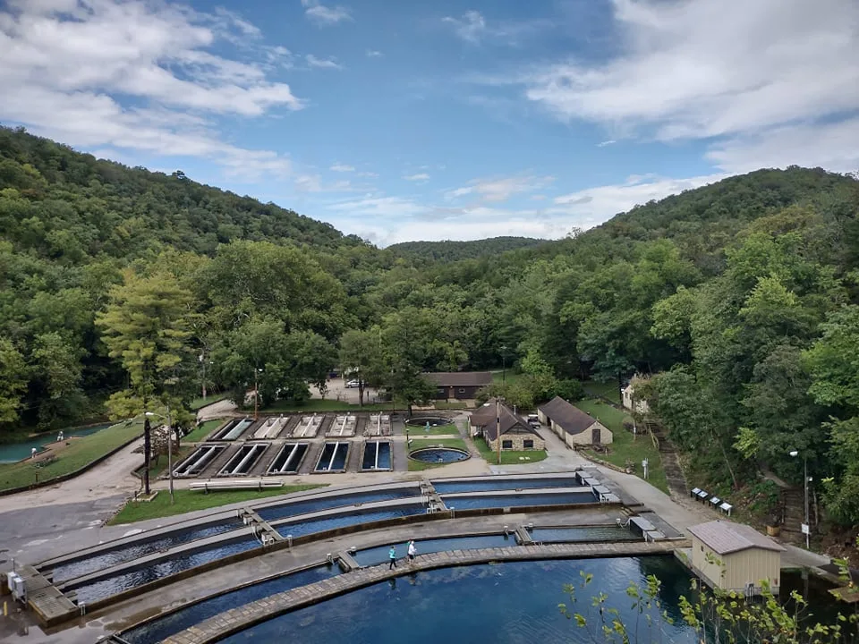 Fish hatchery pools in a green wooded valley with hills behind