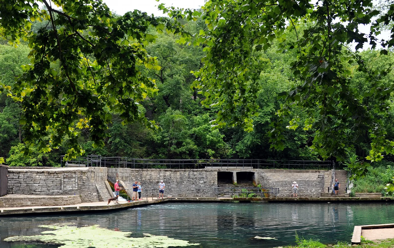 Stone dam and spillway beside a clear green pool under trees