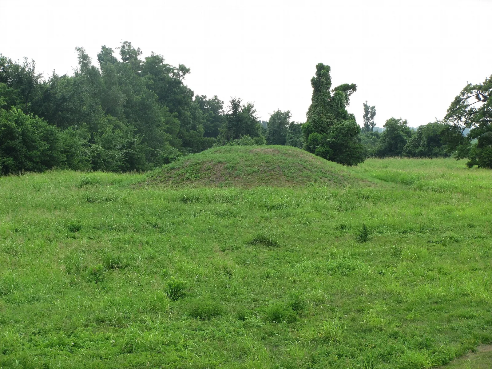 Grassy earthen mound rising from a green field with trees behind