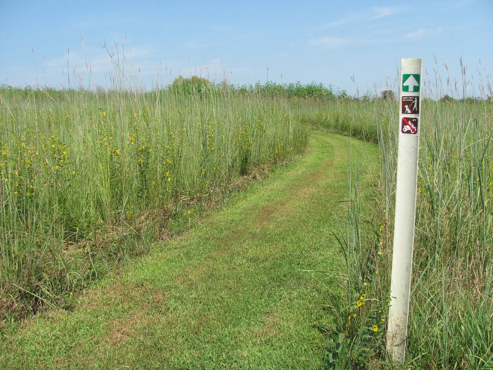 Mown grass trail with a trail marker post through tall prairie grass