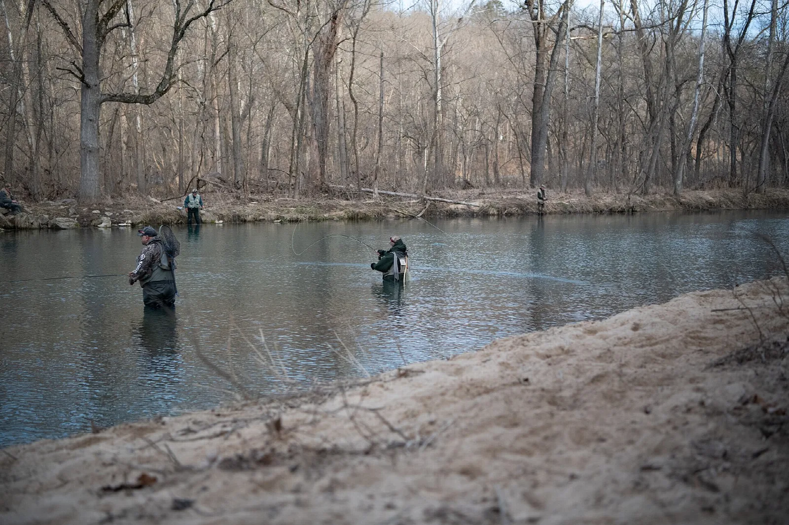 Anglers wading in a calm river beside a sandy bank and bare trees