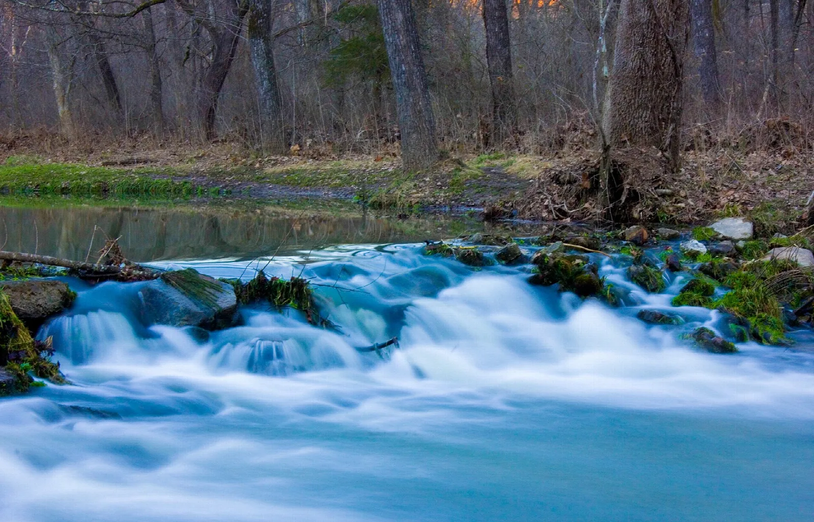 Clear water rushing over mossy rocks in a stream with bare trees behind