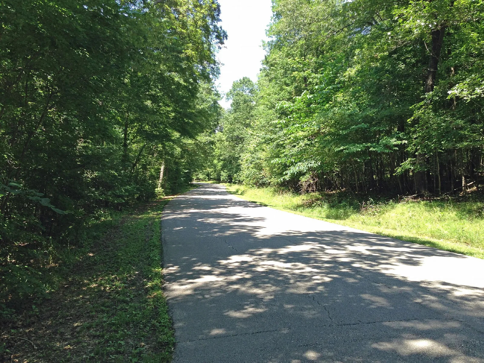 Paved road through shady green woods at a trailhead