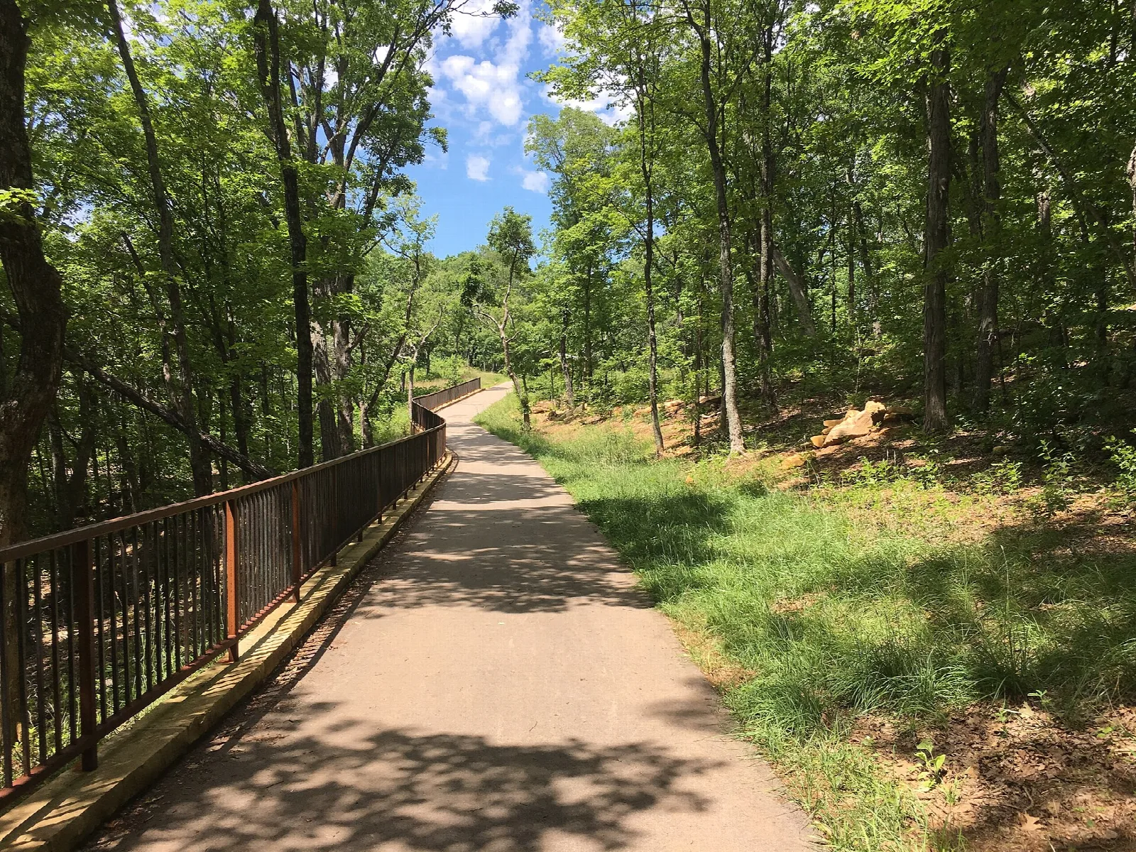 Paved trail with a railing beside it running through green woods
