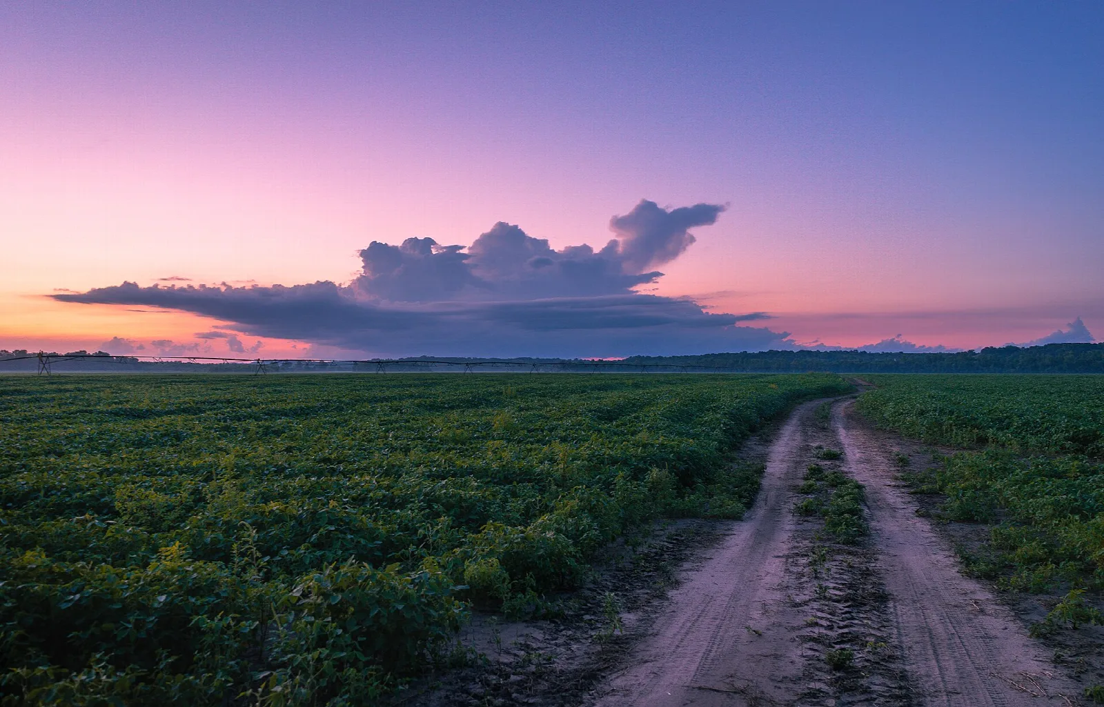 Dirt farm track through a green field under a pink and purple sunset sky