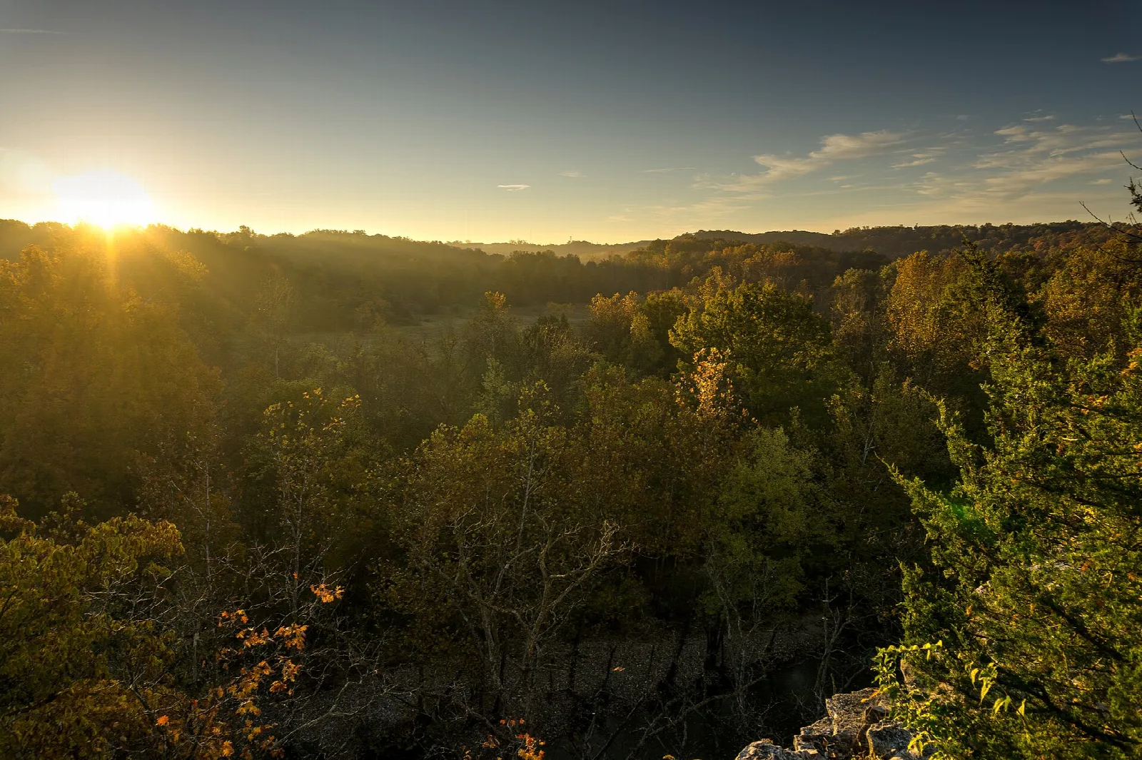 Low sun over a forested valley