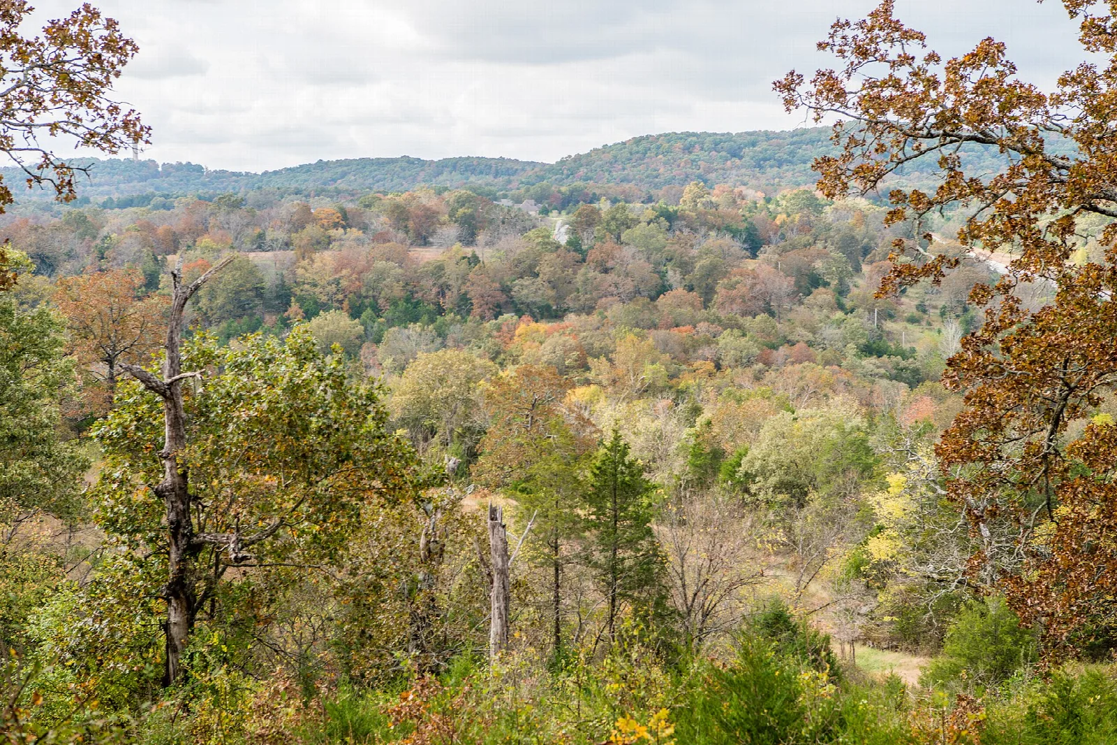 Autumn-colored wooded hills and valley with distant ridges