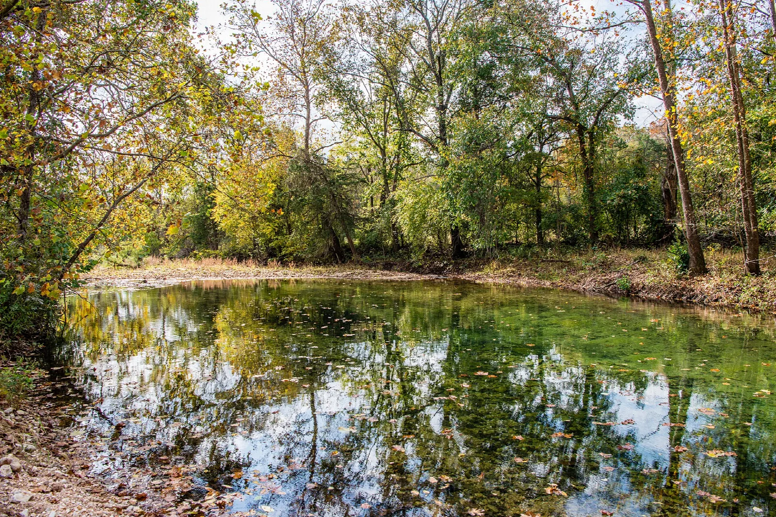 Still pond reflecting autumn trees