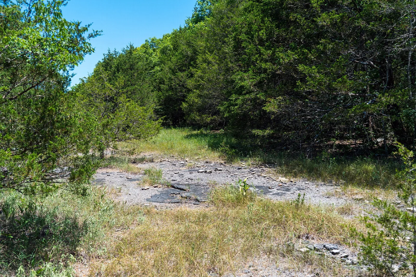 Rocky path edged with grass beside a wooded hillside
