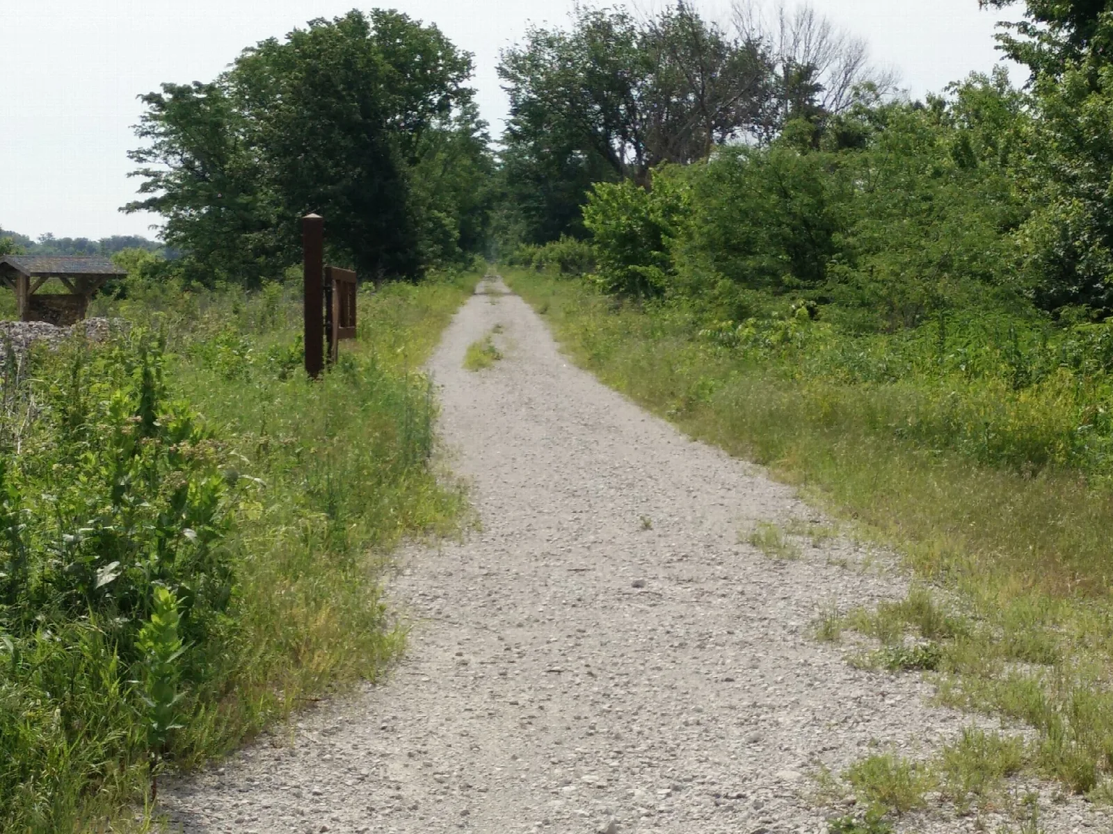 Gravel trail running through green grass and brush