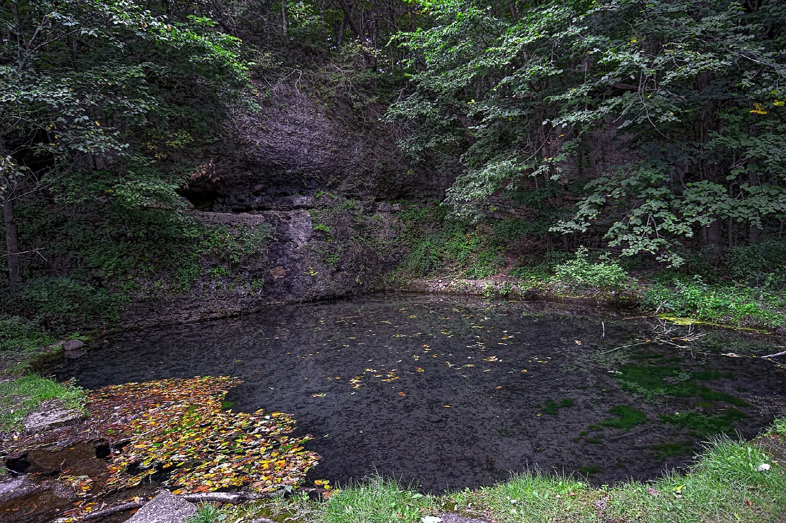 Dark spring-fed pool ringed by green trees and a rocky bank with fallen leaves