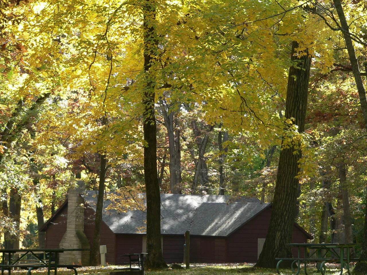 Small brown cabin among trees with yellow fall leaves