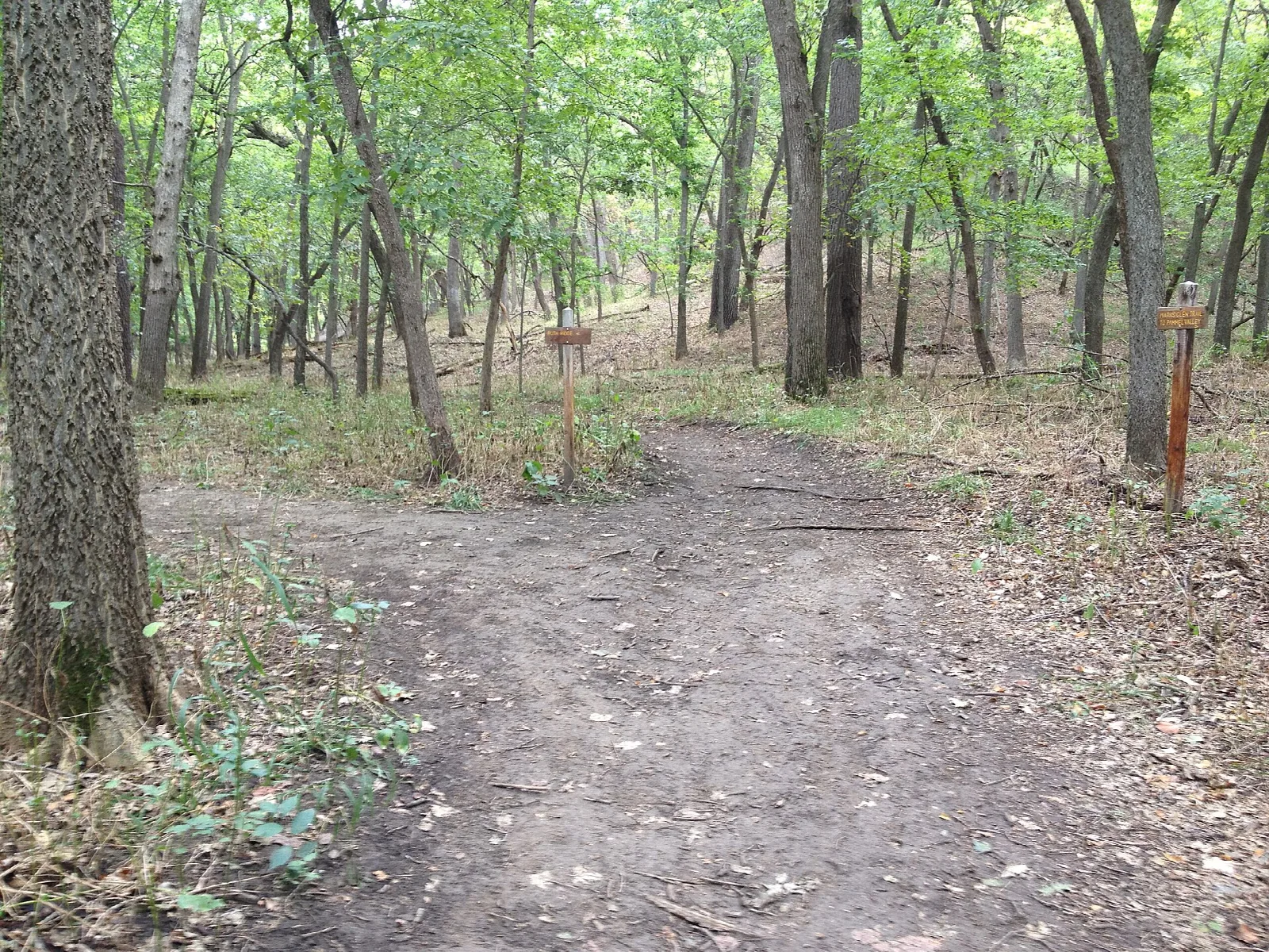 Dirt trail in green woods with a marker post