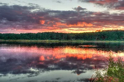 Huntington Beach State Park