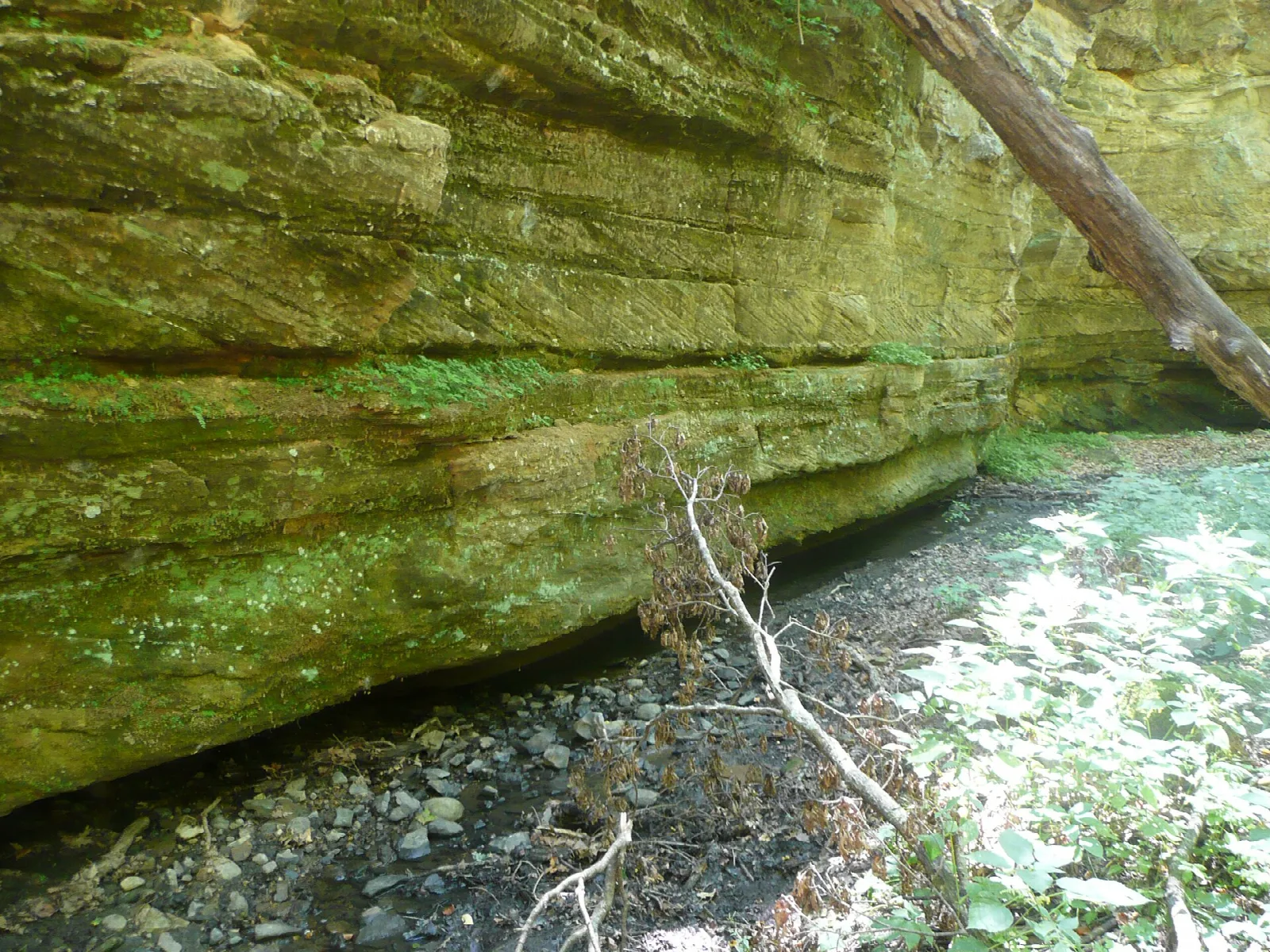 Mossy sandstone cliff above a rocky streambed