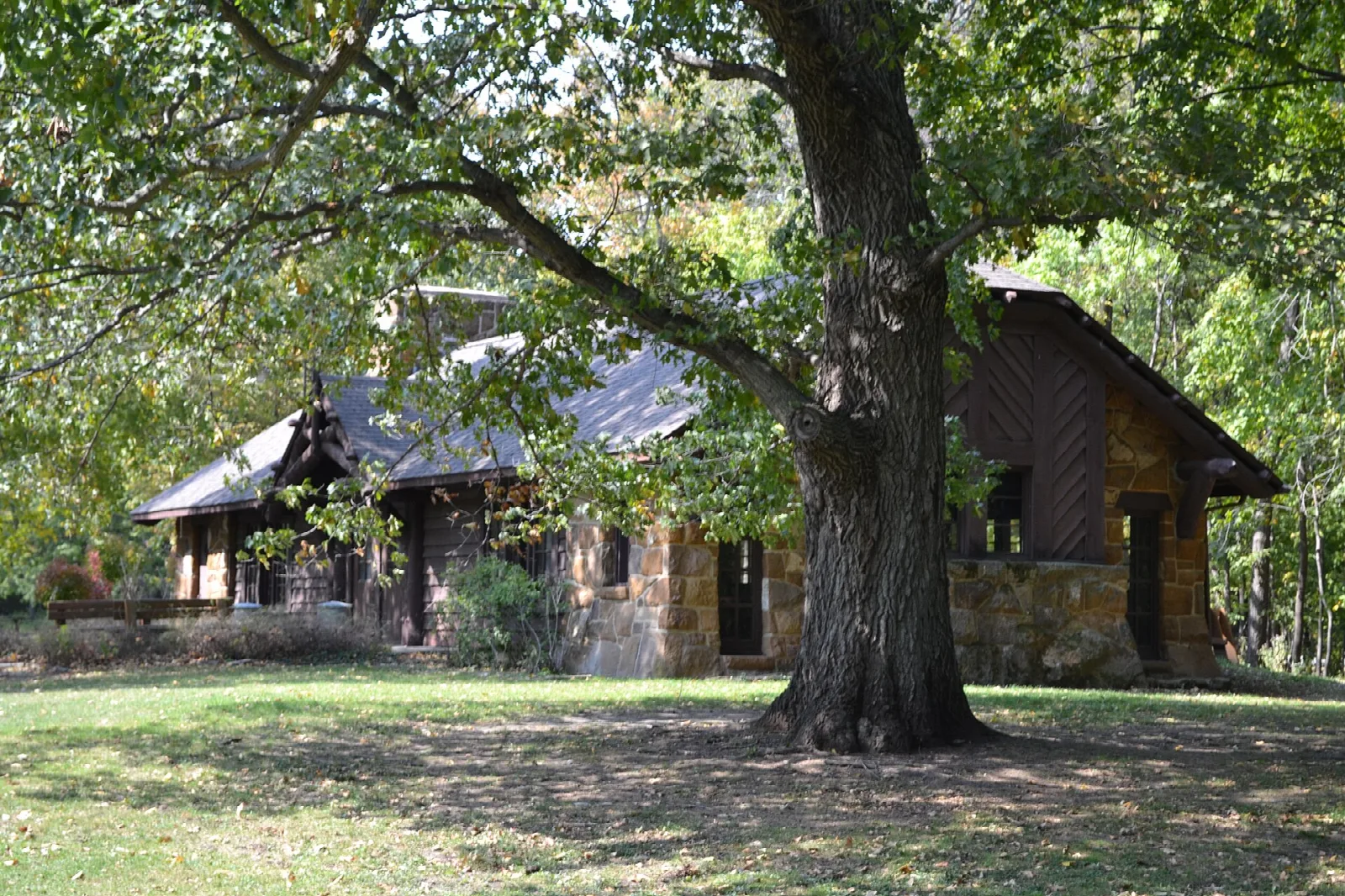 Rustic stone and timber lodge under a large shade tree