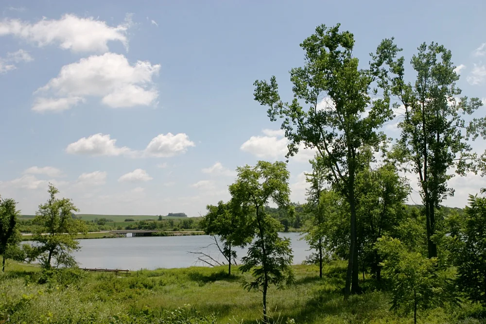Grassy shore with trees and a lake in the distance under a blue sky