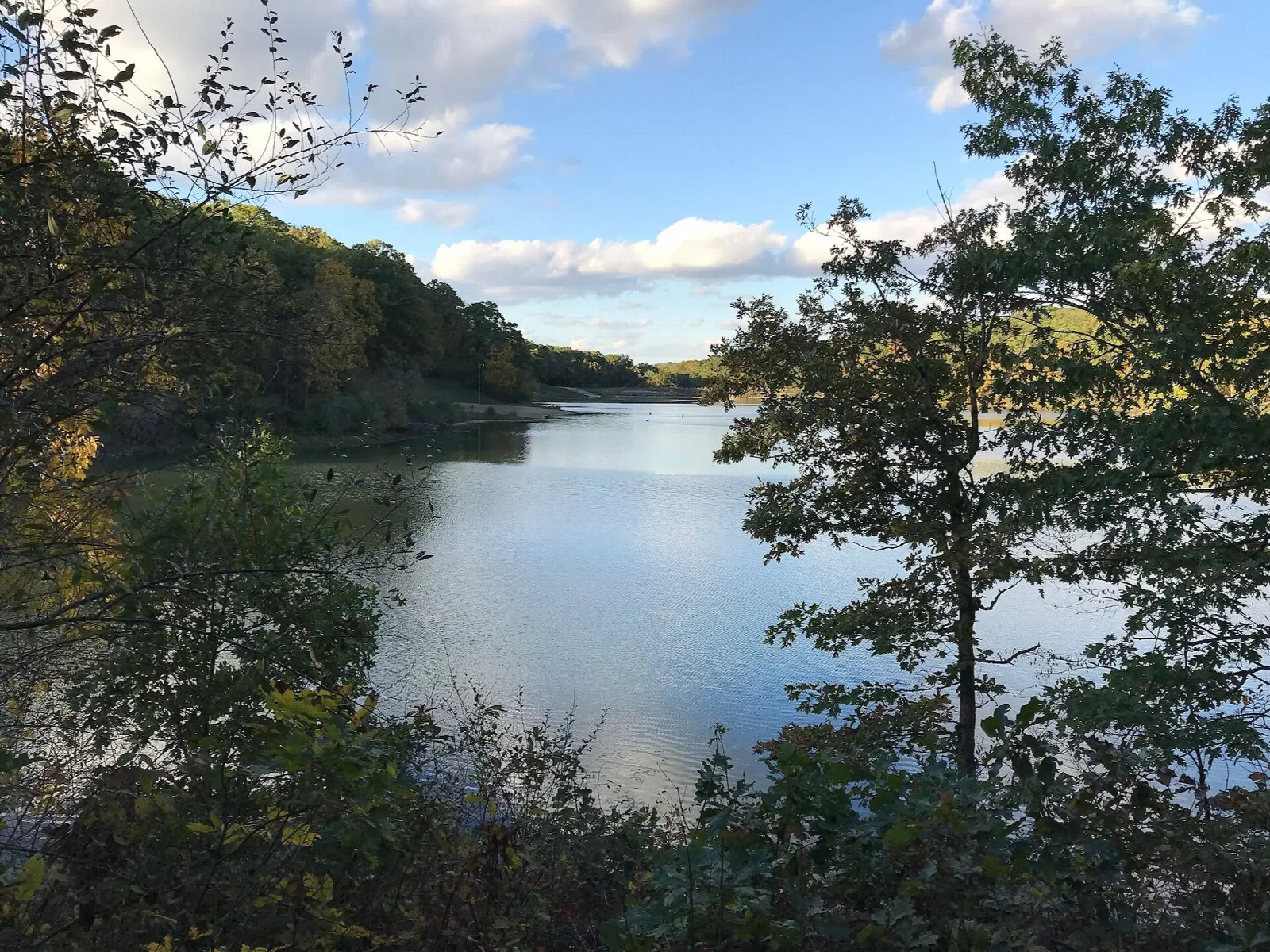 Calm lake framed by trees with blue sky and clouds