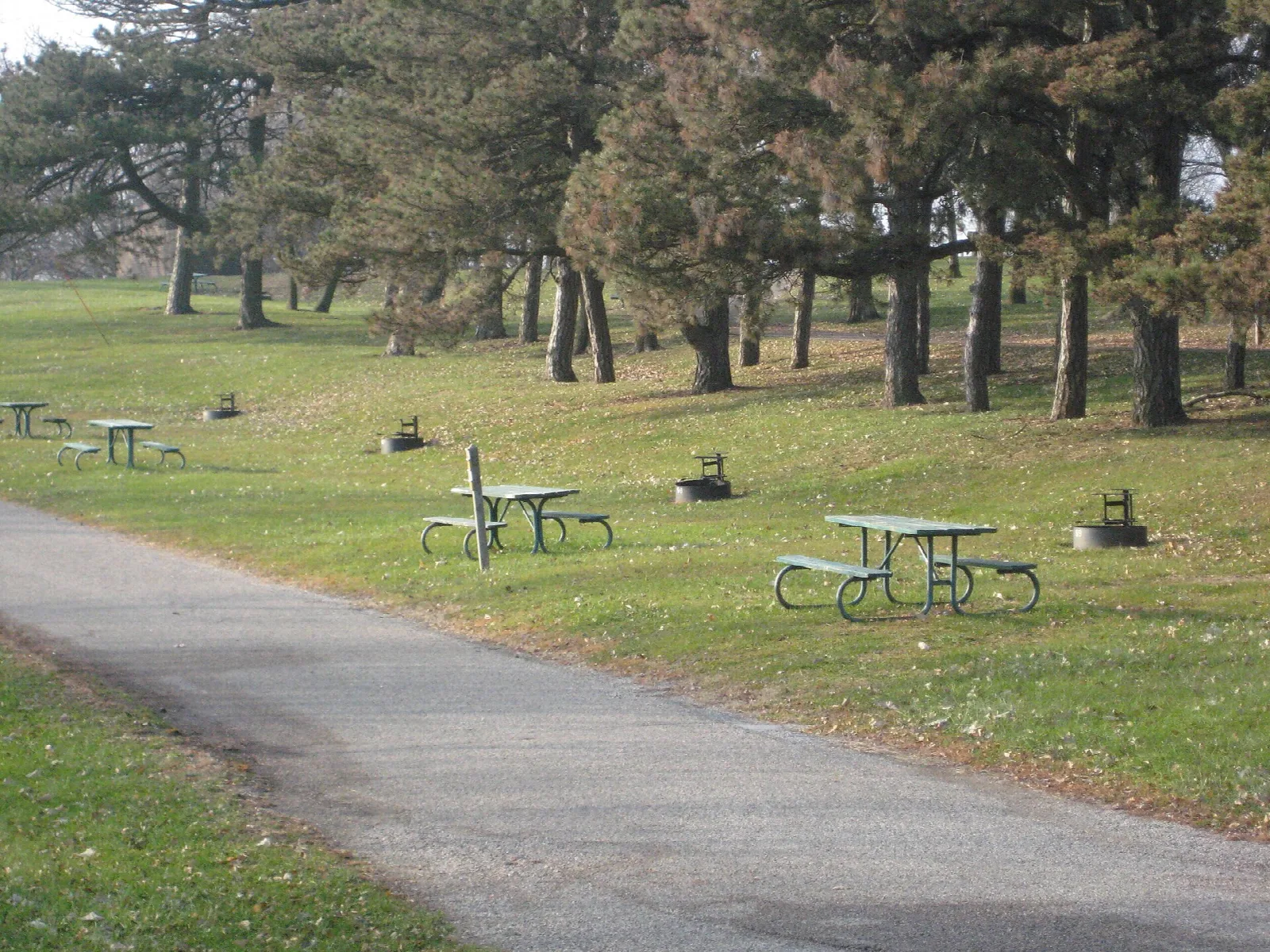 Picnic tables on a grassy campground lawn beside a paved path under pine trees